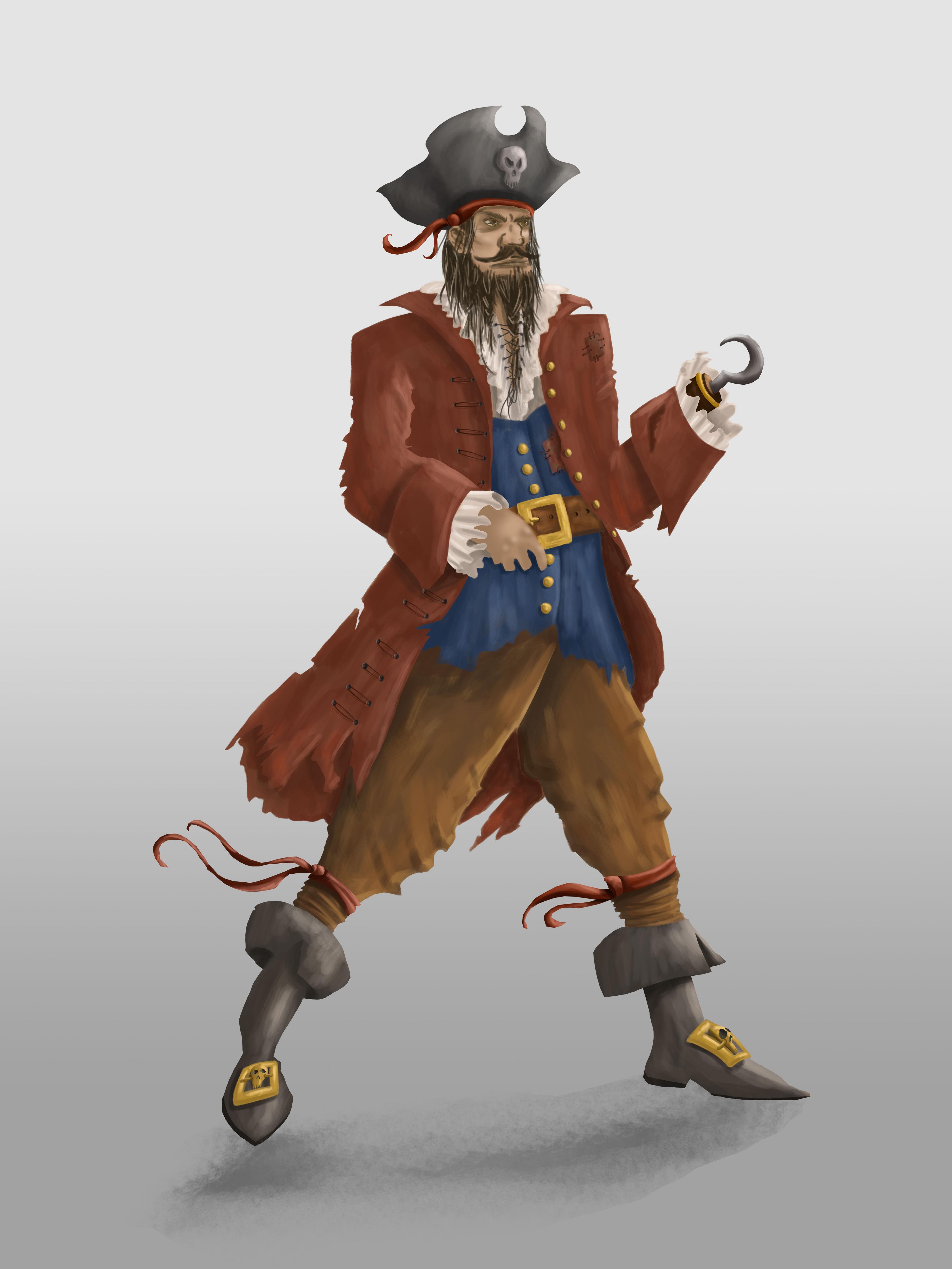 Piratenkonzept